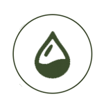 iocn1